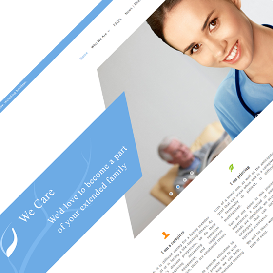 Vallarta Hospicio website created by Griffin Graffix