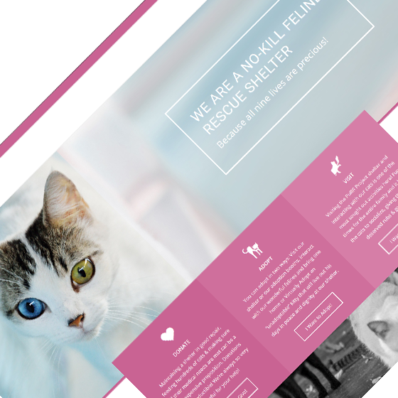 PuRR Project website created by Griffin Graffix